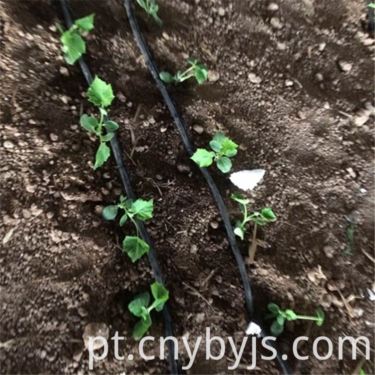 Drip Irrigation 95